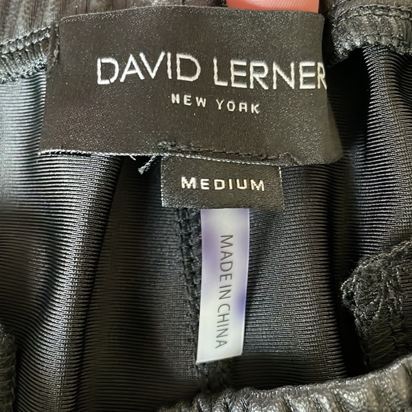 David Lerner Faux Leather Jogger Pants - Picture 7 of 8